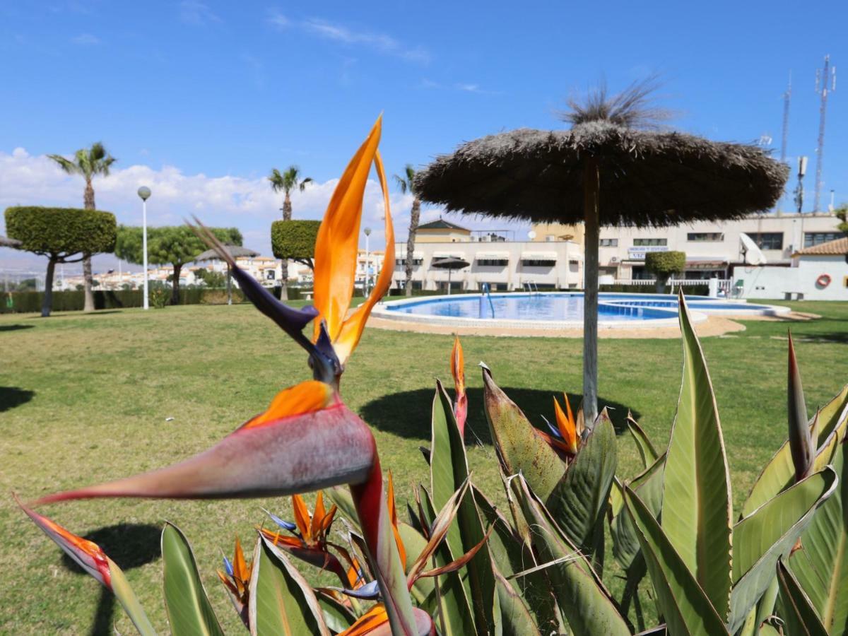 001 - Altomar II 001 - Comfortholidays Gran Alacant Zewnętrze zdjęcie